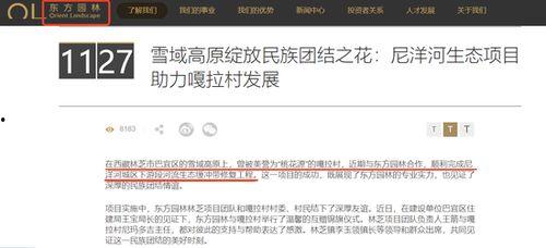 国产一级特黄aa大片,揭秘国产影视的激情与魅力